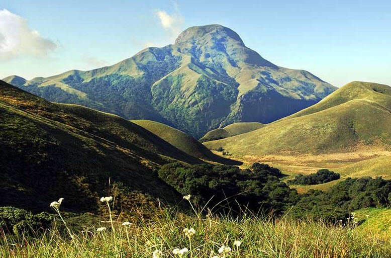 Anamudi Shola National Park, Idukki, Kerala - Vushii.com